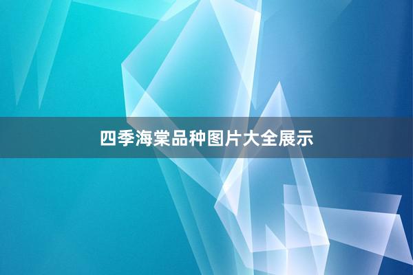 四季海棠品种图片大全展示