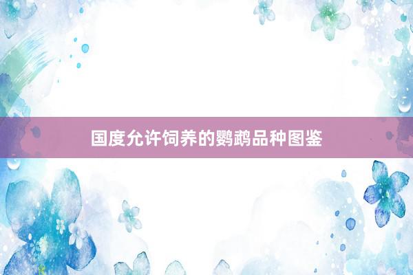 国度允许饲养的鹦鹉品种图鉴