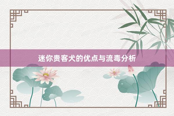 迷你贵客犬的优点与流毒分析